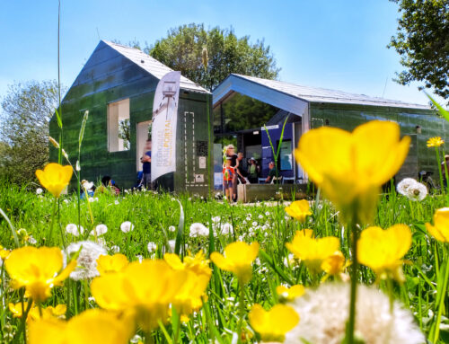 20 Jahre Wetterpark Offenbach
