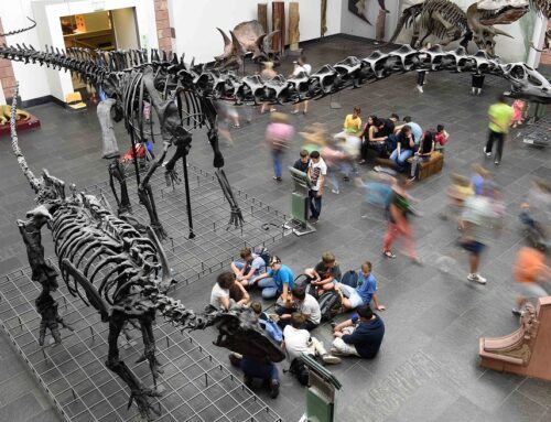 Tschüss, Langeweile: Das Herbstprogramm des Senckenberg Naturmuseums