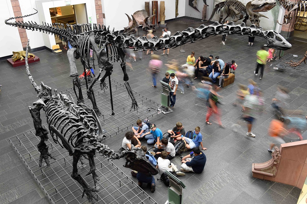 Iguanodon und Diplodocus longus_Foto,Tränkner Senckenberg_small