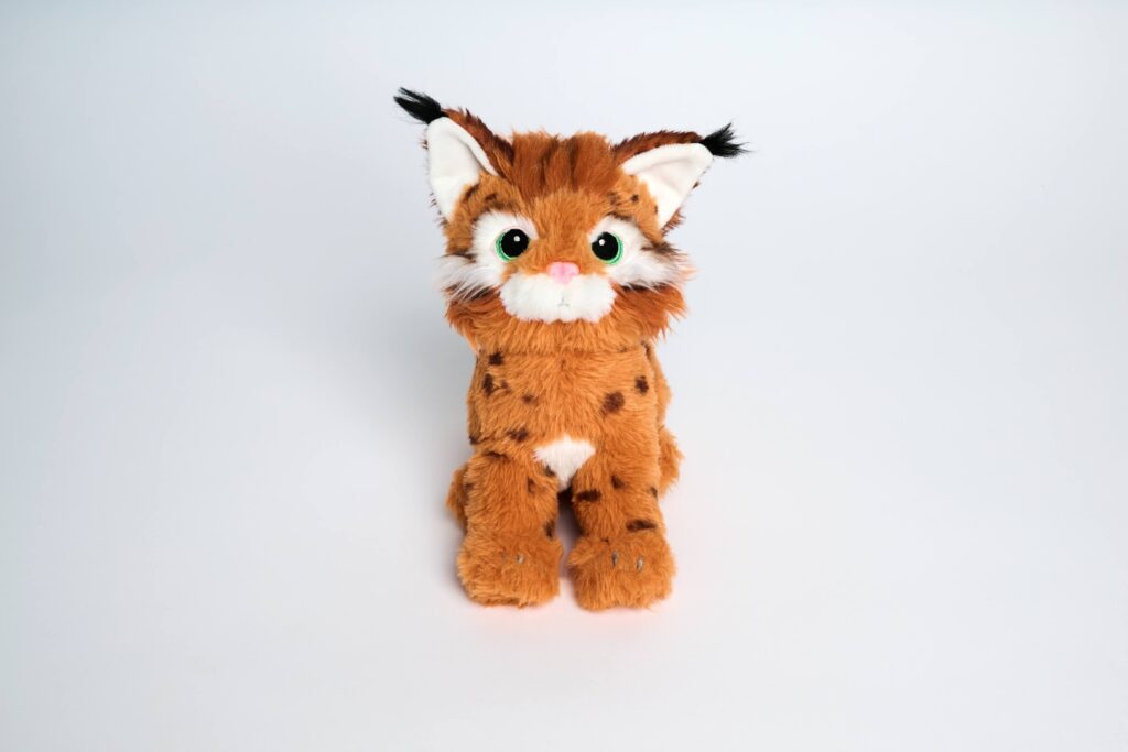 Heidi_Luchs_small