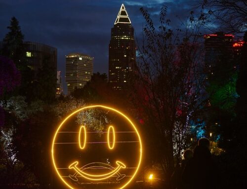 Zauberhafter Lichterglanz und spannende Führungen – der Winter im Palmengarten